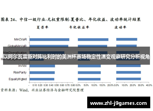 以阿尔瓦雷斯对阵比利时的美洲杯赛场稳定性演变观察研究分析视角